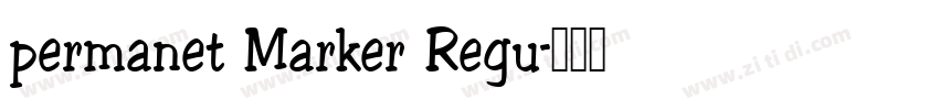 permanet Marker Regu字体转换
